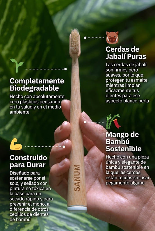Cepillo de dientes ecológico PRIMAL (paquete de 4)