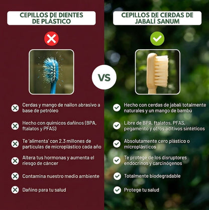 Cepillo de dientes ecológico PRIMAL (paquete de 4)