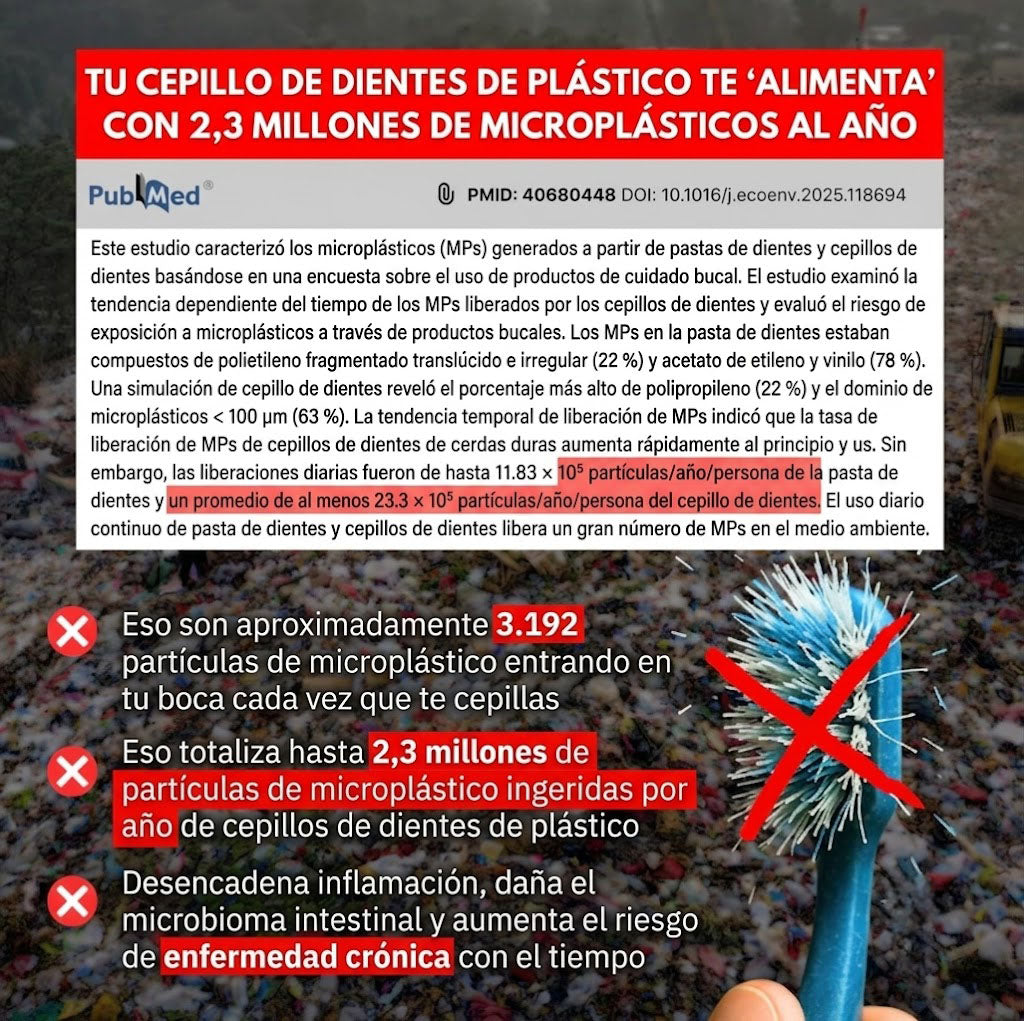Cepillo de dientes ecológico PRIMAL (paquete de 4)